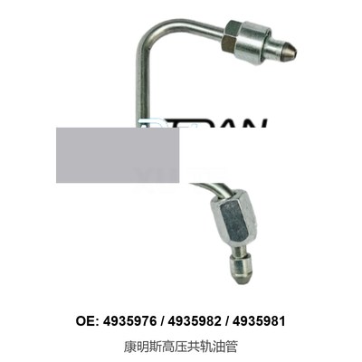 Cummins 4935976 Common Rail ...